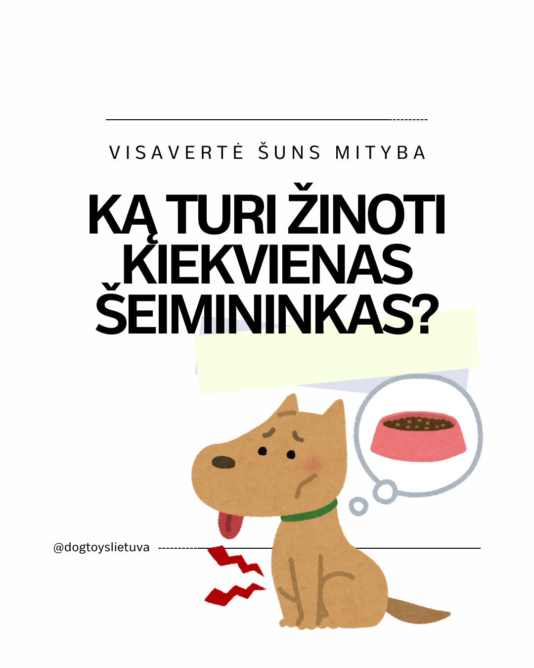 Visavertė šuns mityba - ką turi žinoti kiekvienas šeimininkas?