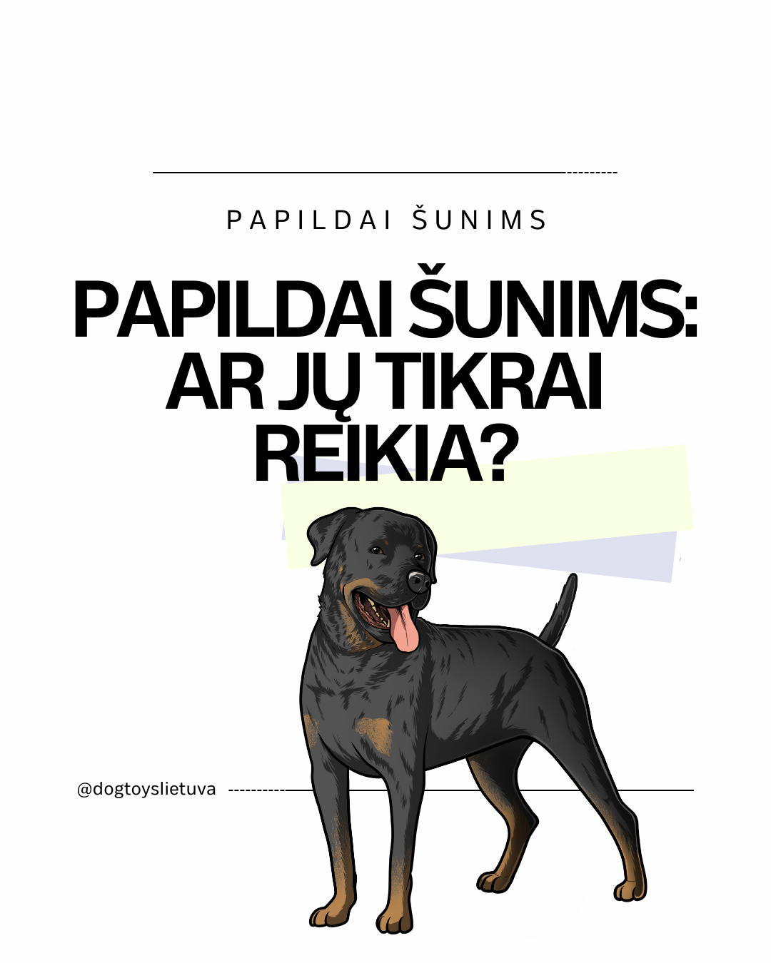 Papildai šunims: ar jų tikrai reikia?