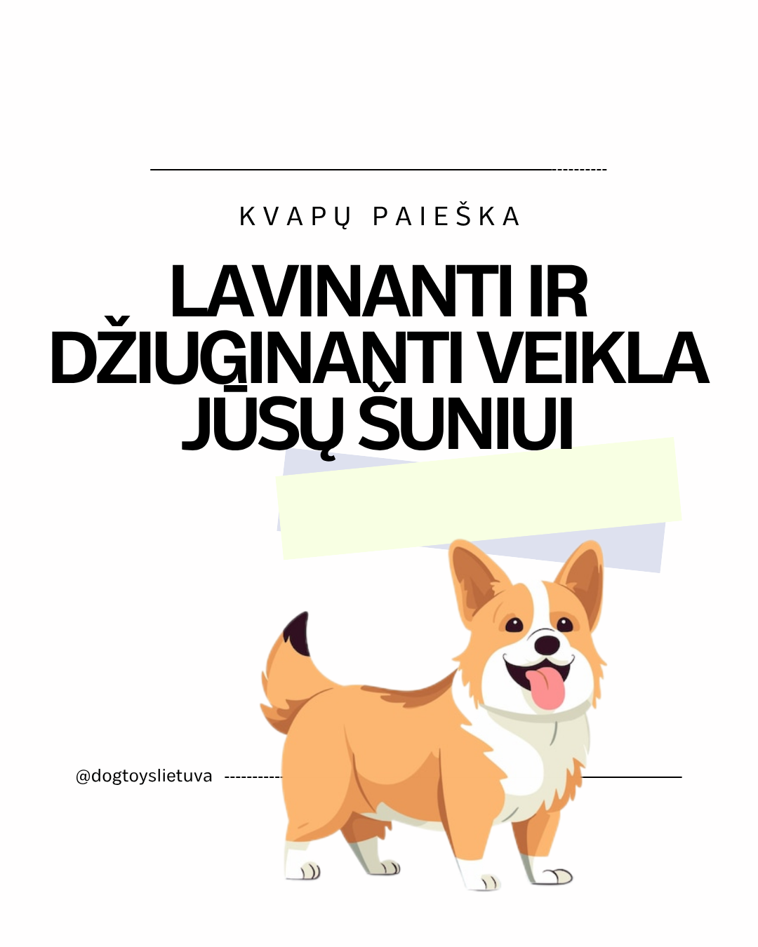 Kvapų paieška: Lavinanti ir džiuginanti veikla jūsų šuniui