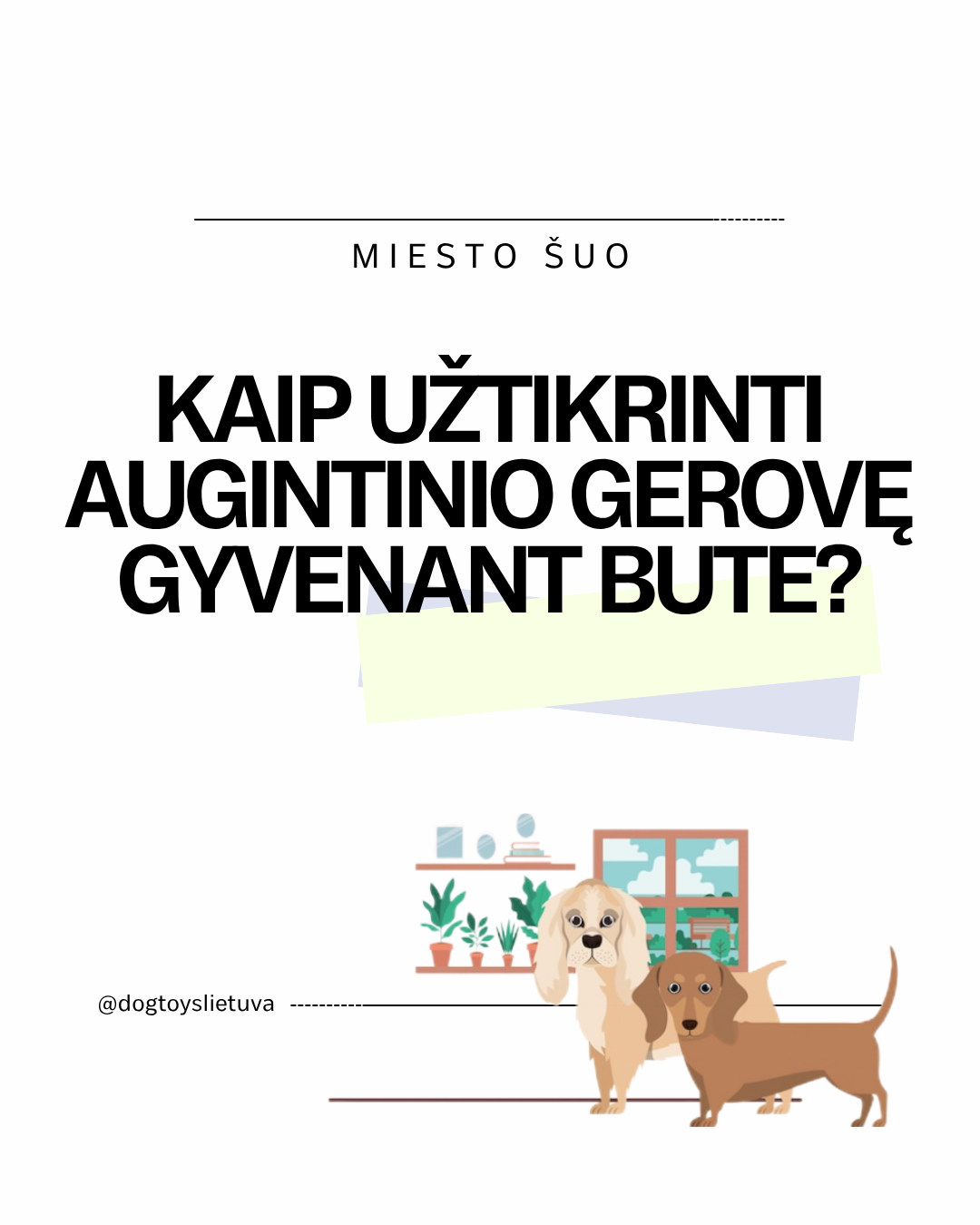 Miesto šuo - kaip užtikrinti augintinio gerovę gyvenant bute?