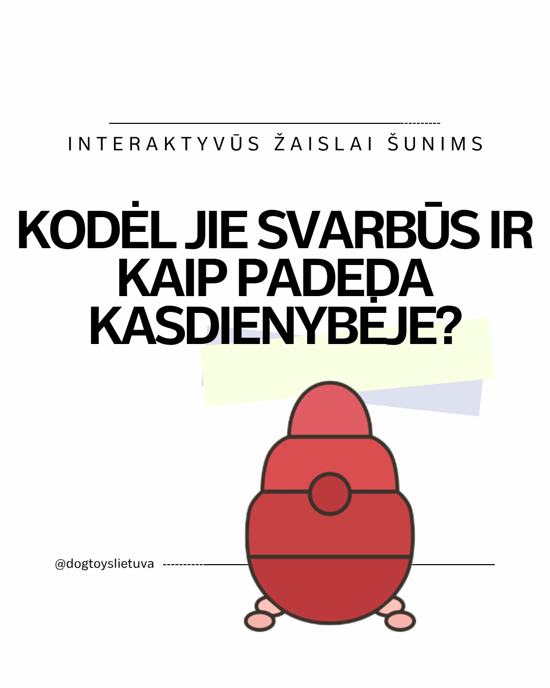 Interaktyvūs žaislai šunims - kodėl jie svarbūs ir kaip padeda kasdienybėje?