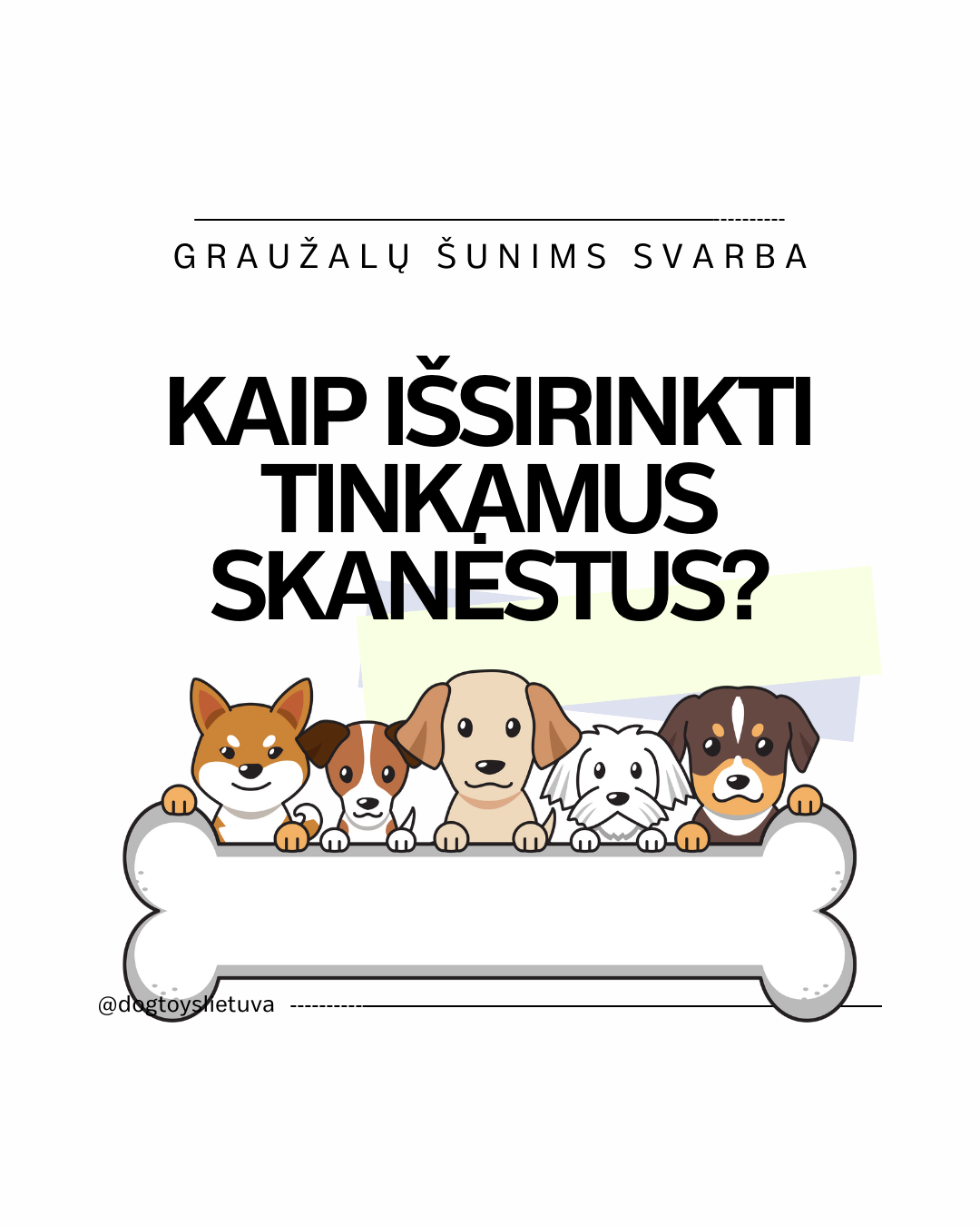 Graužalų šunims nauda - Kaip išsirinkti tinkamus skanėstus?