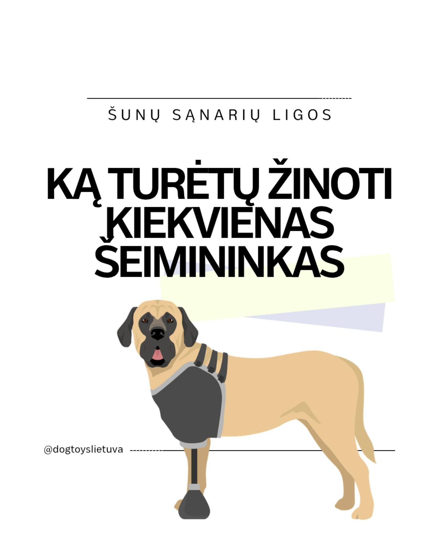 Šunų sąnarių ligos. Ką turėtų žinoti kiekvienas šeimininkas