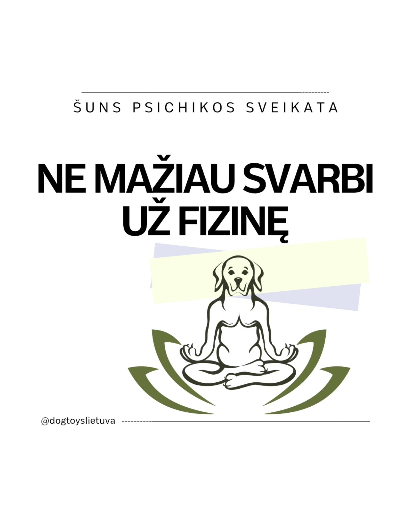 Šuns psichikos sveikata nemažiau svarbi už fizinę