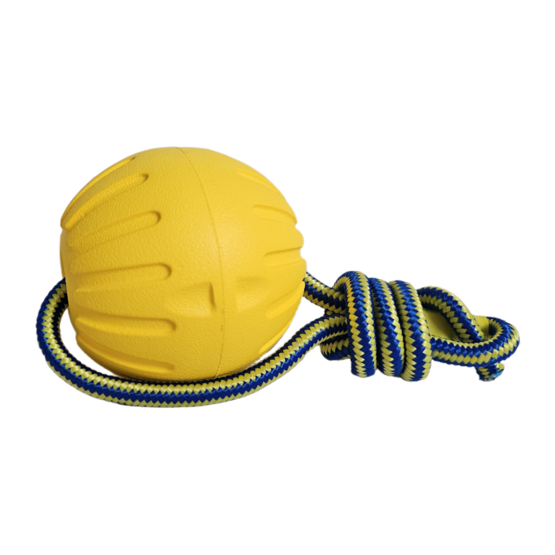 Dog Toys Kamuoliukas su virve