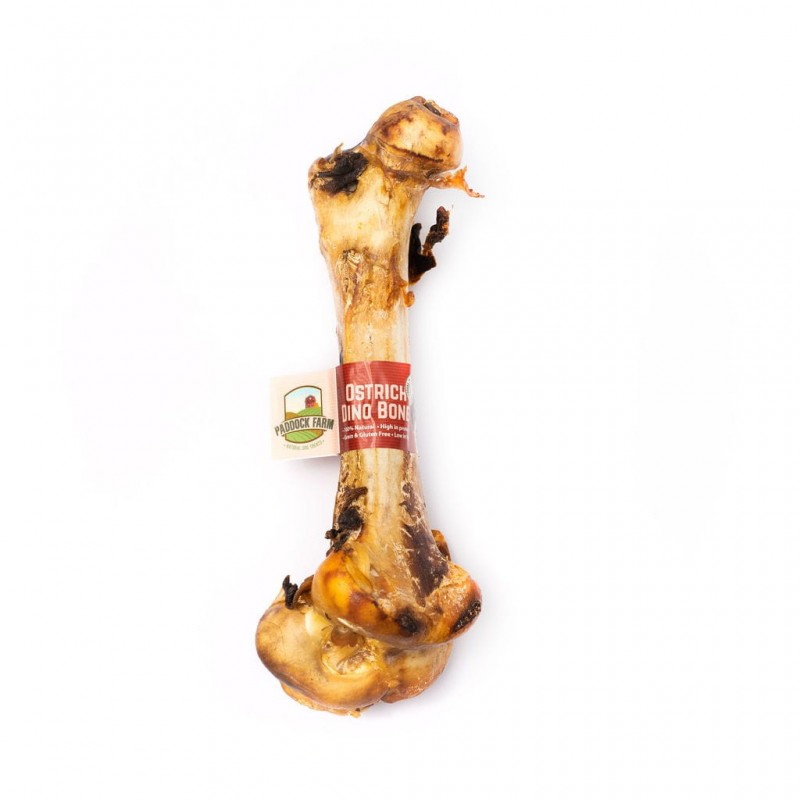 Stručio kaulas šunims „Ostrich Dino Bone“