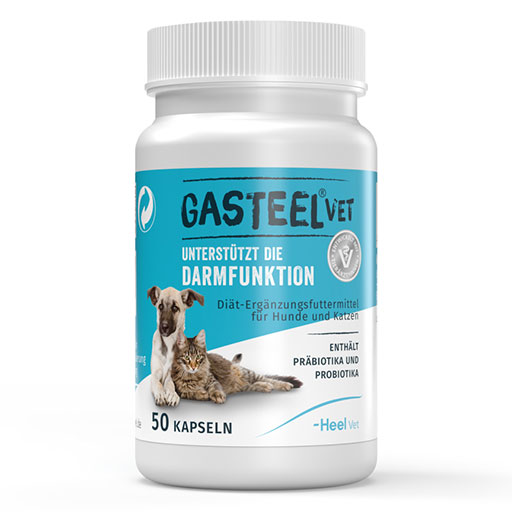 Gasteel Vet – Probiotikai šunims ir katėms