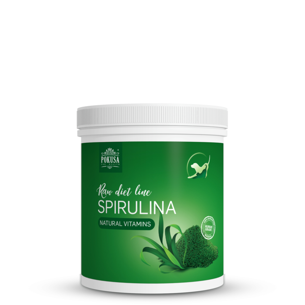 Spirulinos papildas RawDietLine 250g